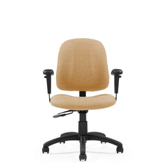 Customized GOAL Low Back Mechanism Chair