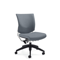 Customized Posture Back Task Chair