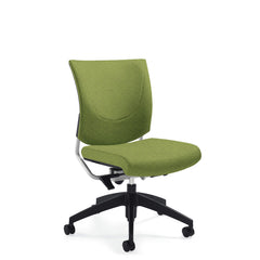 Customized Posture Back Task Chair