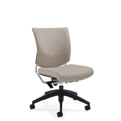 Customized Posture Back Task Chair