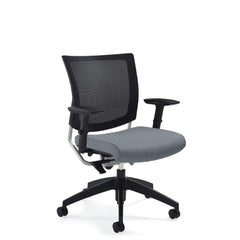 Customized Posture Back Task Chair