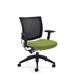 Customized Posture Back Task Chair