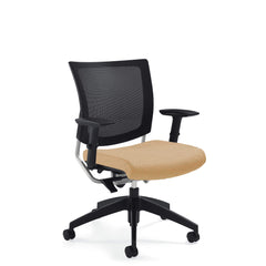 Customized Posture Back Task Chair