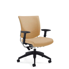 Customized Posture Back Task Chair