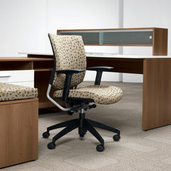 Customized Posture Back Task Chair