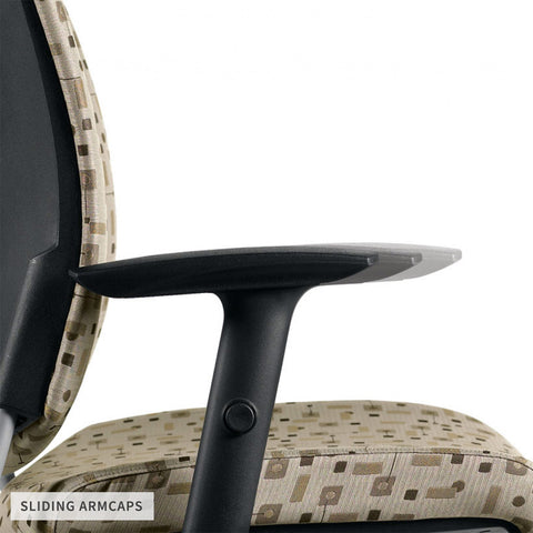 Customized Posture Back Task Chair