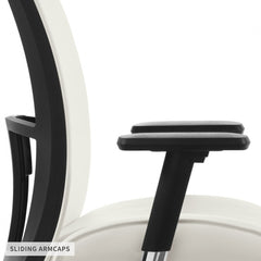 Vion Mesh Medium Back Synchro-Tilter with Back Angle adjustment Chair
