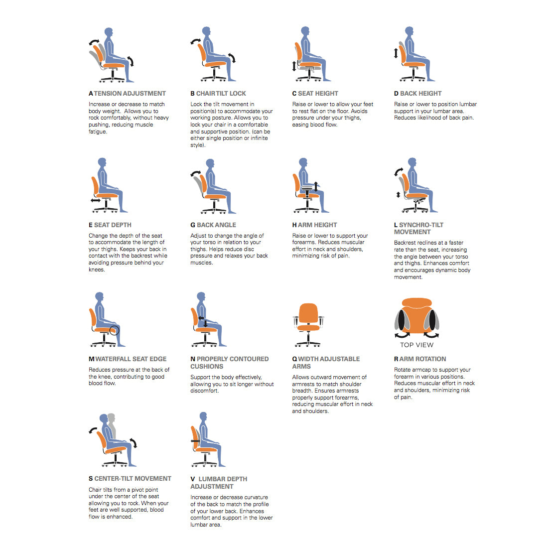 Graphic Mesh Medium Posture Back Chair - Kainosbuy.com